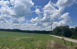 0 Steam Mill Ferry Road, Jackson, TN 38301