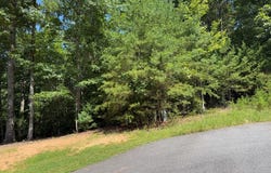 Lot 106 Asheland Cove, Young Harris, GA 30582