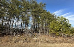 2a Cousin Road, Rougemont, NC 27572