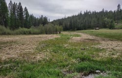 E Jump Off Rd, Valley, WA 99181