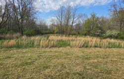 0 Beech Street, Shipman, IL 62685