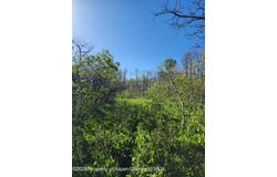 234 Tananger Lane, Craig, CO 81625