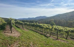 00WP Travis Hill Rd, Preston Hollow, NY 12469