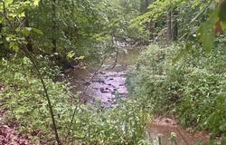 FOX Ln, Savannah, TN 38372
