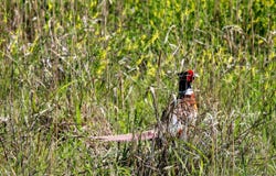 456 D Rd, Palco, KS 67657
