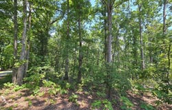ELAM Way, Savannah, TN 38372