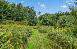 4069 E Sternberg Road, Fruitport, MI 49415
