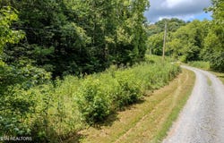 21.03 Ac Watts Hollow Rd, Buffalo Valley, TN 38548