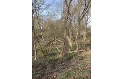 Lot 31 W High Street, Greenville, MI 48838