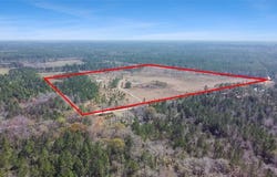 0 Humpback Road Other, Hortense, GA 31543