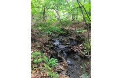 1 Thomas Town Road, Young Harris, GA 30582
