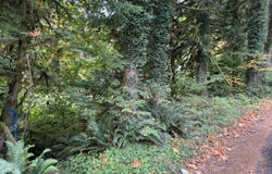 27325 E WELCHES Rd, Welches, OR 97067