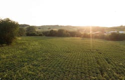 Knox Road, Thurman, IA 51654
