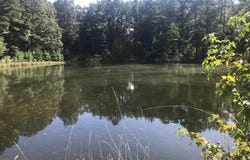 1424 Shady Grove Road, Irmo, SC 29063