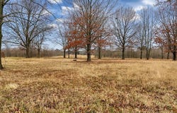 Levinston N, Humphrey, AR 72023