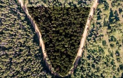 Moir Dr lot: 2824, Fort Garland, CO 81133