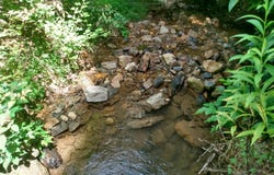 578 ROUSE MOUNTAIN ROAD, GREAT CACAPON, WV 25422