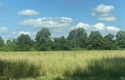 1500 MS-346, Ecru, MS 38841