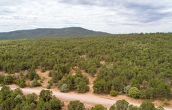83 Pecos Barillas Road, Pecos, NM 87552