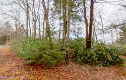 Deppners Road, Blakeslee, PA 18610