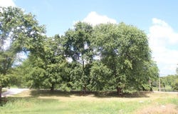 1769 Harrodsburg Road, Lawrenceburg, KY 40342