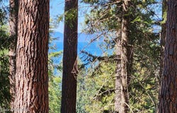 NNA E David Thompson Rd, Hope, ID 83836