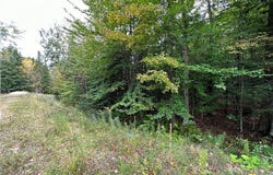 Steinfeldt Lane, Long Lake, NY 12847