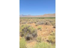 426-390-08 Flycatcher, Weldon, CA 93283