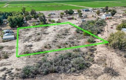 Pecan, Mohave Valley, AZ 86440