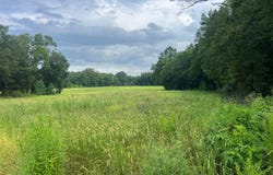 60 Acres, Grenda County, MS 38922