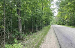 Parcel "A" W Smith Lake, Manistique, MI 49854