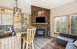 464 N Hwy 143, Brian Head, UT 84719