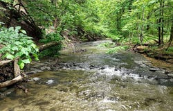 6415 Omphalius Road, Colden, NY 14033
