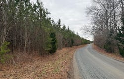 HARDWARE RD lot: C2, ARVONIA, VA 23004