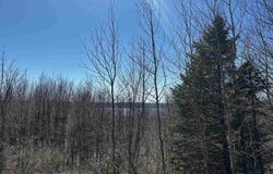 7.06 Acres Eden Hill Road, Beulah, MI 49617