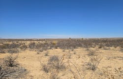 150 Wildflower Way, Terlingua, TX 79852