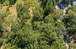 Lot 15 Mallard Drive, Barnwell, SC 29812