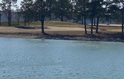 Alexander City, AL 35010