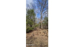 Lot 20.22 Woods Road, Barryville, NY 12719