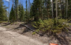 Clear Creek Estates lot: 14, Panguitch, UT 84759