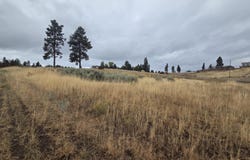 Cloutier Drive lot: 38, Chiloquin, OR 97624