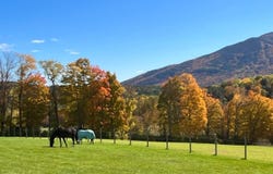 325 Cemetery Road, West Windsor, VT 05089