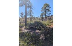 958 NAVAJO Trail, Show Low, AZ 85901