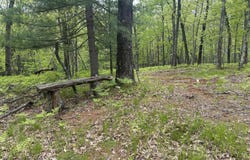 9846 W Oxpath, Baldwin, MI 49304