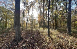 Sulpher Springs rd, Pine Bluff, AR 71603