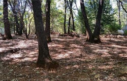 0 Adrian Drive, Magalia, CA 95954