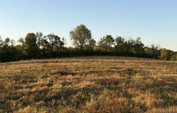 1855 Hannah Rd, Shelbyville, KY 40065