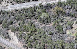 58450 Buzzard Creek Road, Collbran, CO 81624