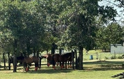 1550 W Us-277 Highway, Ninnekah, OK 73067