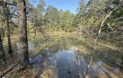 1314 Shoemaker Road, Violet Hill, AR 72584
